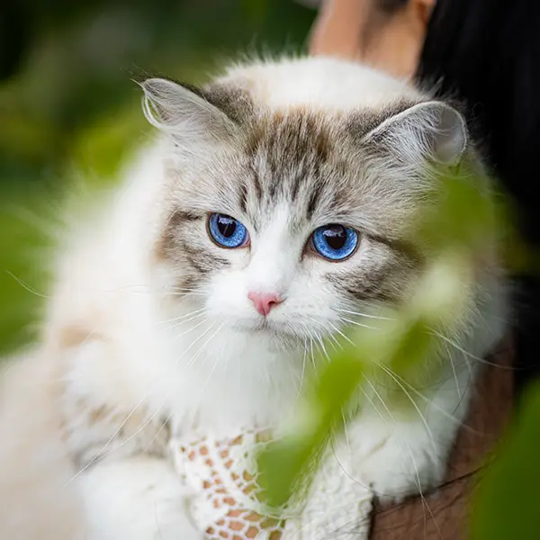 one-photo-studio-animal-photography13