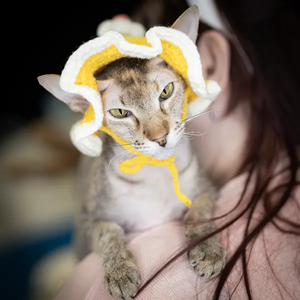 one-photo-studio-animal-photography16